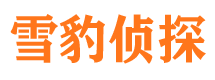 广阳市调查公司